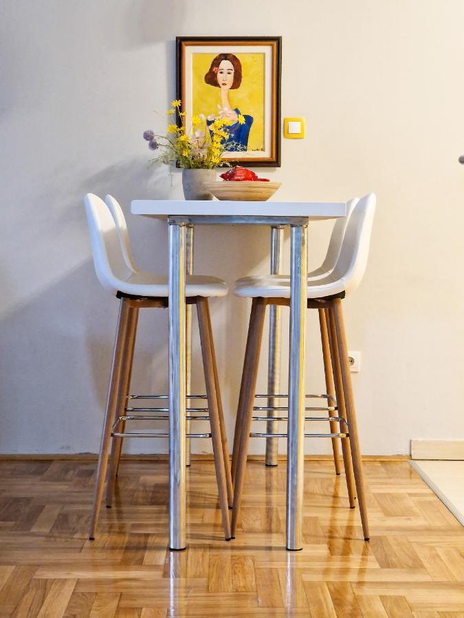 Quiet Center Apartment Sremska Mitrovica Bagian luar foto