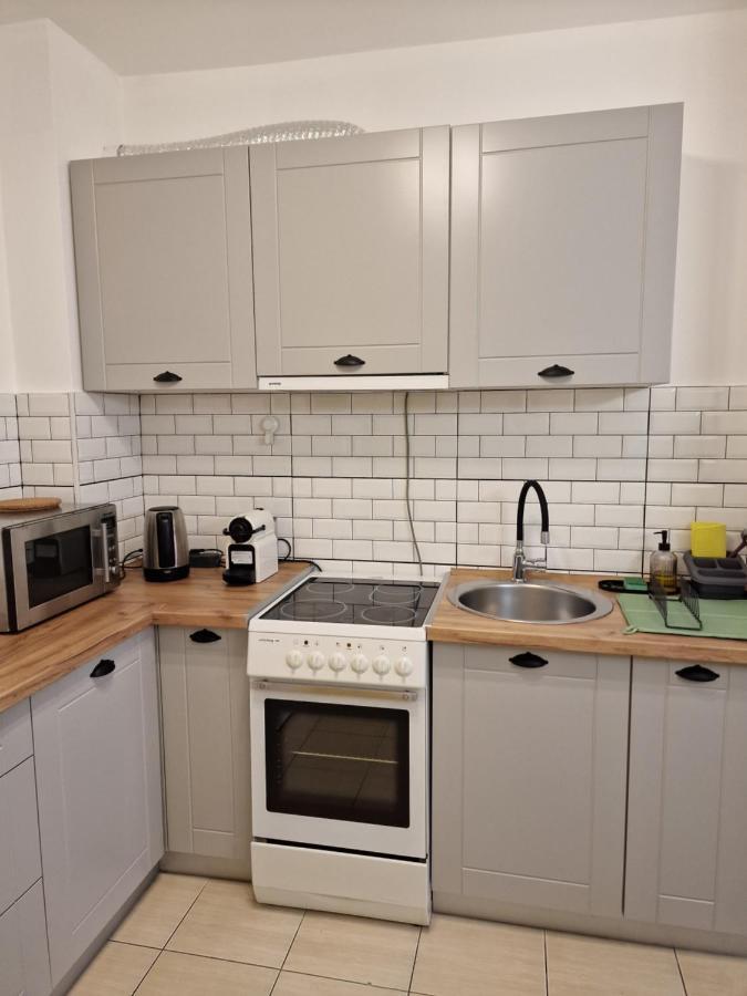 Quiet Center Apartment Sremska Mitrovica Bagian luar foto